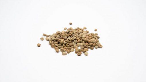 Guatamala Santa Rosa ongebrande koffiebonen