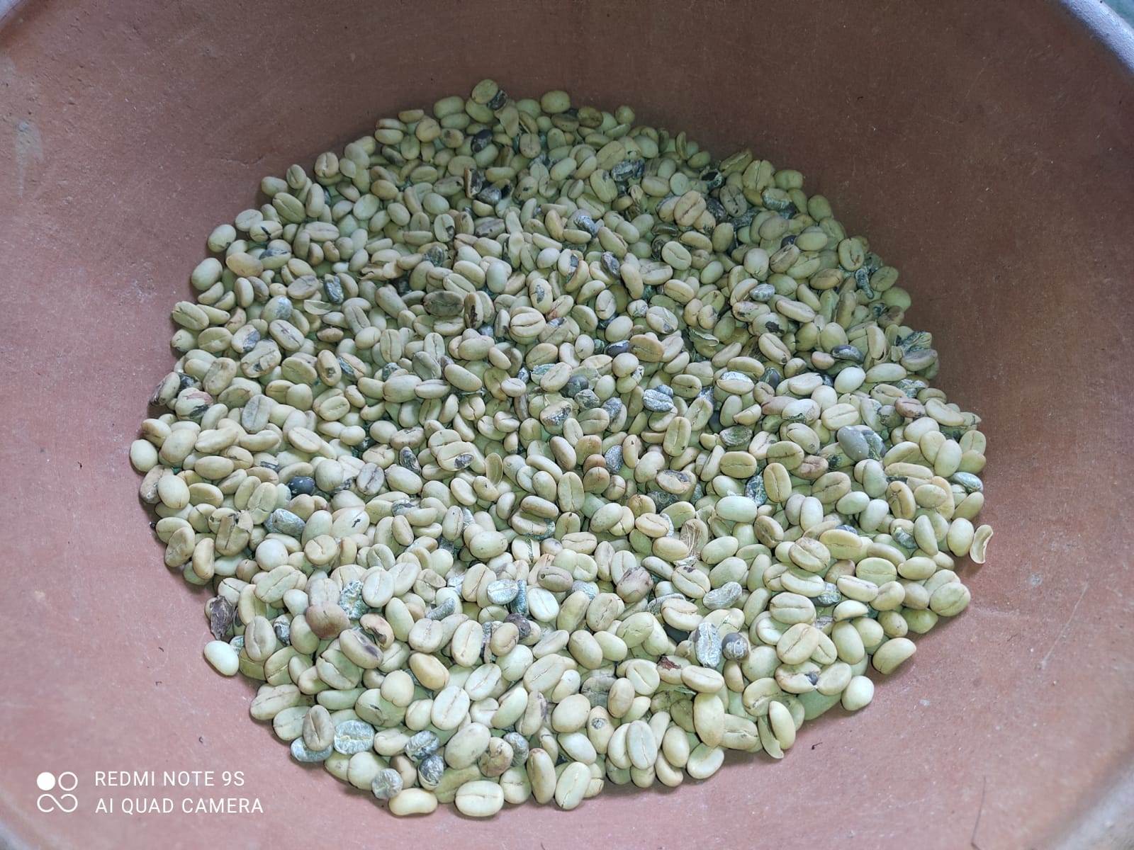 ongebrande koffiebonen in bakje